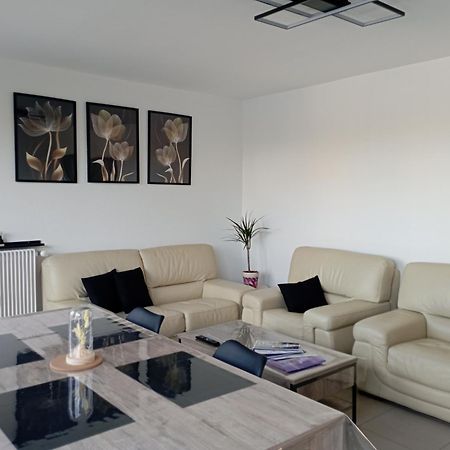 Le Belle Vue Apartment Saint-Etienne  Luaran gambar